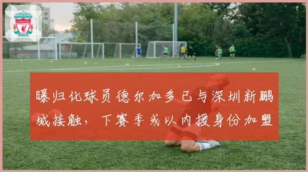 曝归化球员德尔加多已与深圳新鹏城接触,下赛季或以内援身份加盟