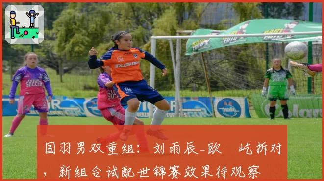 国羽男双重组：刘雨辰_欧烜屹拆对，新组合试配世锦赛效果待观察