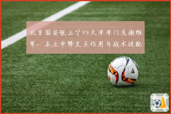 北京国安张玉宁vs天津津门虎谢维军，本土中锋支点作用与战术适配性分析