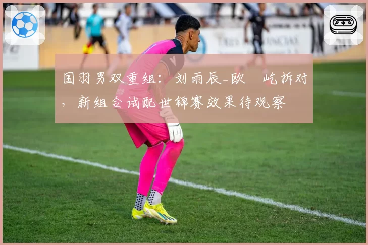 国羽男双重组：刘雨辰_欧烜屹拆对，新组合试配世锦赛效果待观察