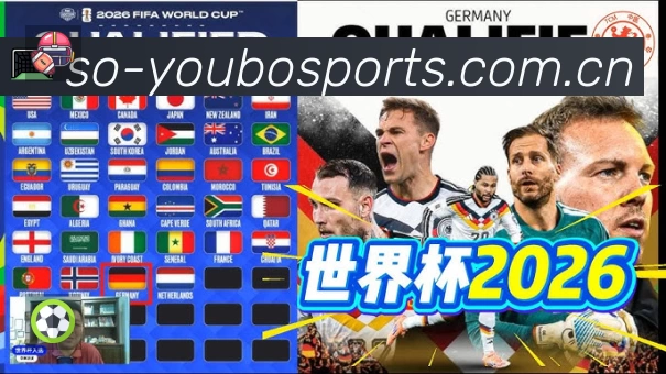 友博体育平台展示图